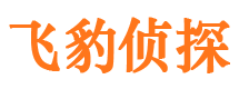 泸州调查事务所